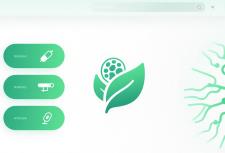 上海網(wǎng)站設計公司：賦能醫(yī)藥企業(yè)數(shù)字化品牌升級的創(chuàng)意伙伴